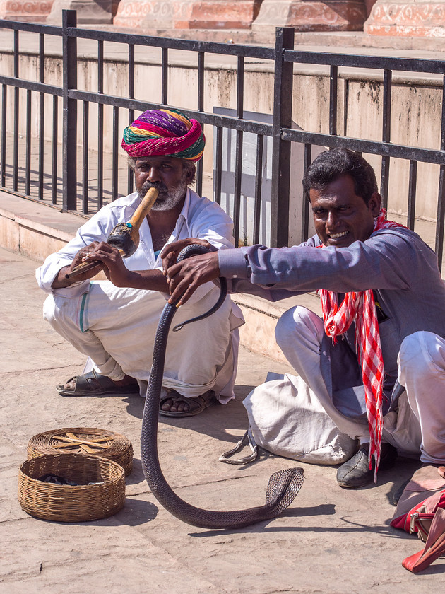 PA150404 
 Snake Charmers, Jaipur 
 Keywords: India, Jaipur, Rajasthan, cobra, holiday, people, snake charmers, snakes, street performers, street photography, travel