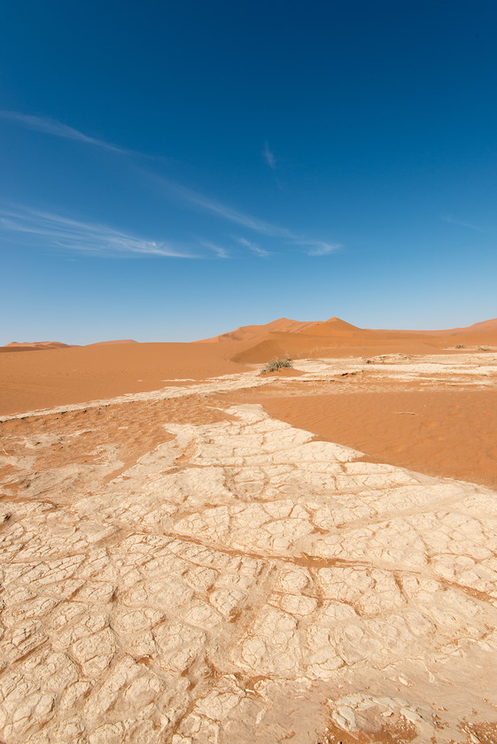 DSC 3417 
 Keywords: Africa, Namib desert, Namib-Naukluft National Park, Namibia, Sossuvlei, South West Africa, dunes, landscapes, sand, sand dunes, travel