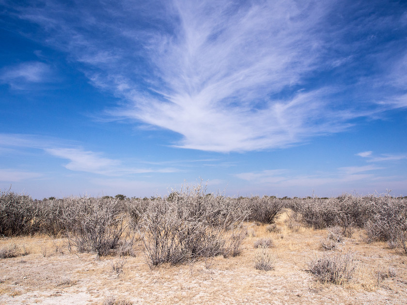 P7191938 
 OLYMPUS DIGITAL CAMERA 
 Keywords: Africa, Etosha, Etosha National Park, Namibia, South West Africa, landscapes, travel