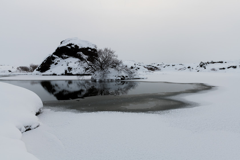 DSC3761 
 www.keithmuirphoto.co.uk 
 Keywords: Iceland, Lake Mývatn, Mývatn, North East Iceland, WPH, black and white, cold, lake, landscapes, snow, travel, winter