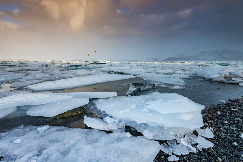 DSC2195 
 www.keithmuirphoto.co.uk 
 Keywords: Iceland, Jokulsarlon, Jökulsárlón, ice, lagoon, landscapes, morning, travel