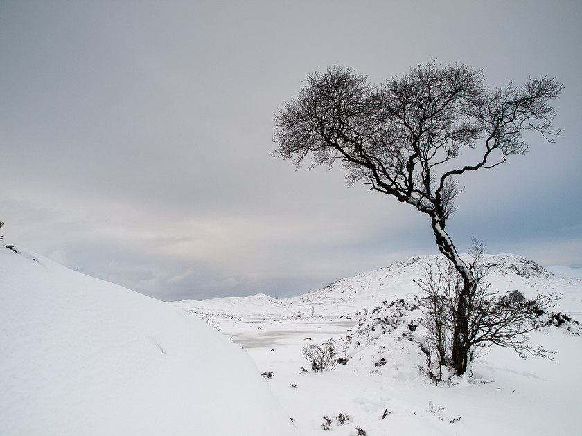 P2288358 
 Lochan Nah'Achlaise, Winter 
 Keywords: E-3, Highlands, Loch nah Achlaise, Olympus, Rannoch Moor, Scotland, ice, landscapes, lochs, mountains, snow, winter