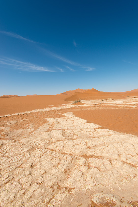 DSC 3417 
 Keywords: Africa, Namib desert, Namib-Naukluft National Park, Namibia, Sossuvlei, South West Africa, dunes, landscapes, sand, sand dunes, travel