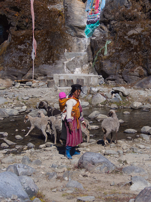 Brokpa Shepherd 
 Keywords: Bhutan, Eastern Bhutan, Merak, Olympus