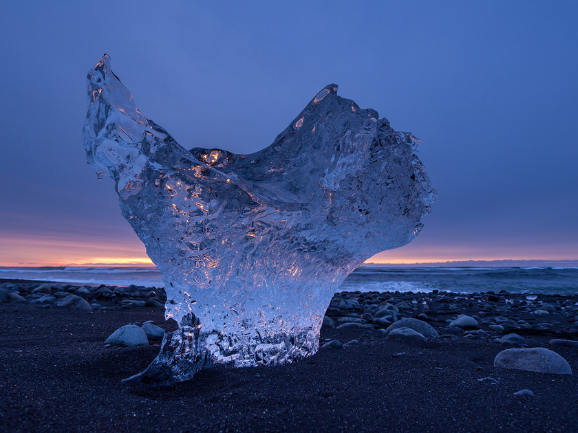 Ice Wings 
 Ice Angel catching the Dawn 
 Keywords: Iceland, Jökulsárlón, beach, black sand, dawn, ice, landscapes, sunrise, waves, winter