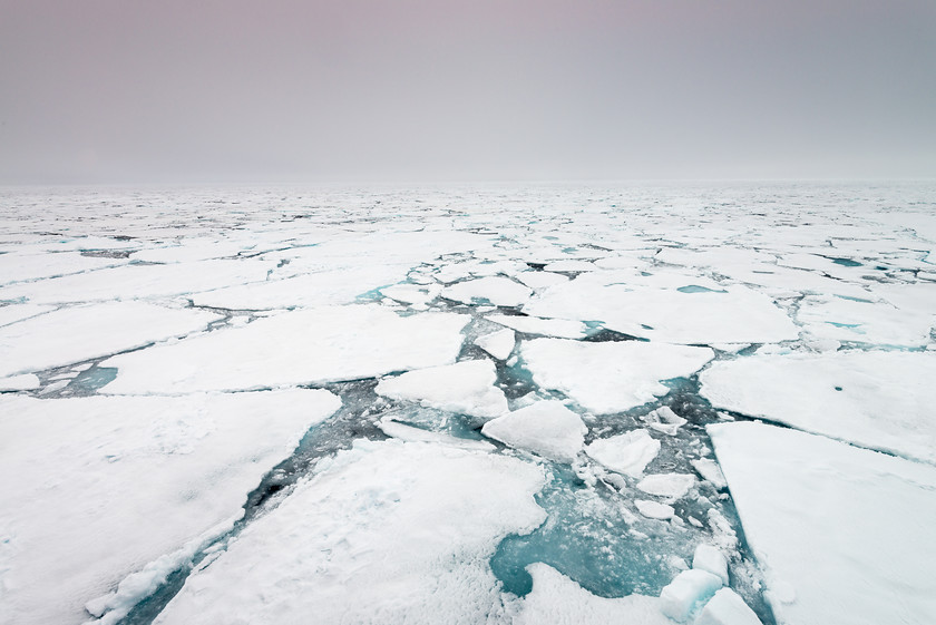 DSC3934 
 www.keithmuirphoto.co.uk 
 Keywords: Arctic, Norway, Spitzbergen, Svalbard, ice, pack ice, polar, sea ice, travel