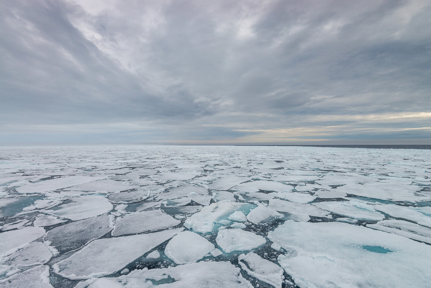 DSC4289 
 www.keithmuirphoto.co.uk 
 Keywords: Arctic, Norway, Spitzbergen, Svalbard, ice, pack ice, polar, sea ice, travel