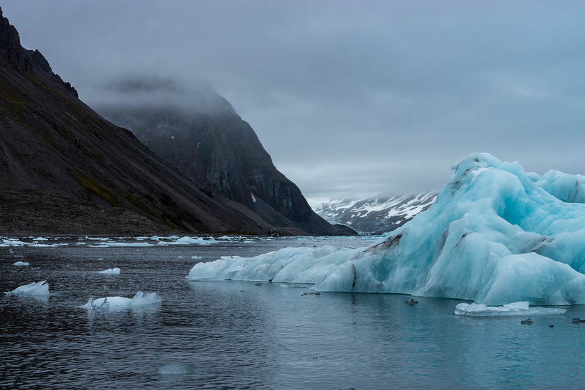 DSC5582 
 www.keithmuirphoto.co.uk 
 Keywords: Arctic, Hornsundet, Norway, Spitzbergen, Svalbard, glacier, ice, icebergs, polar, travel