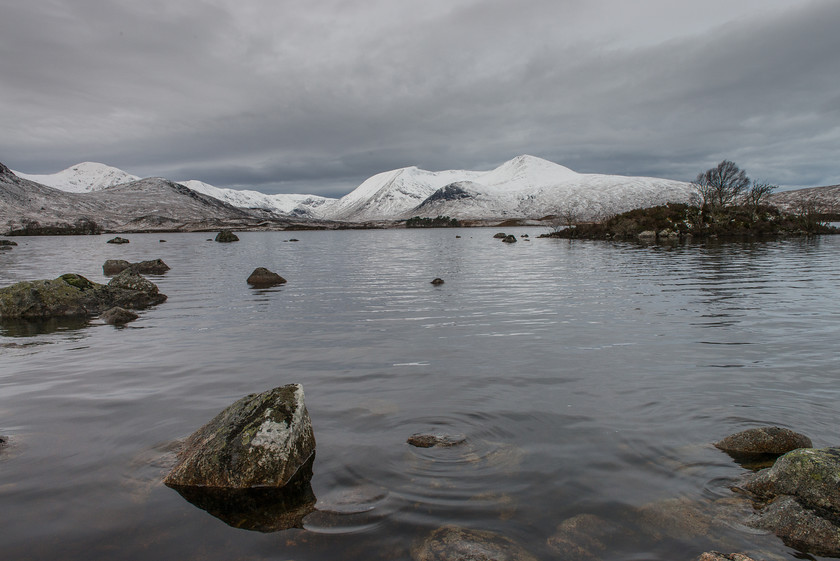 DSC 0511 
 Lochan Nah' Achlaise 
 Keywords: Highlands, Scotland, West Highlands, landscapes, winter