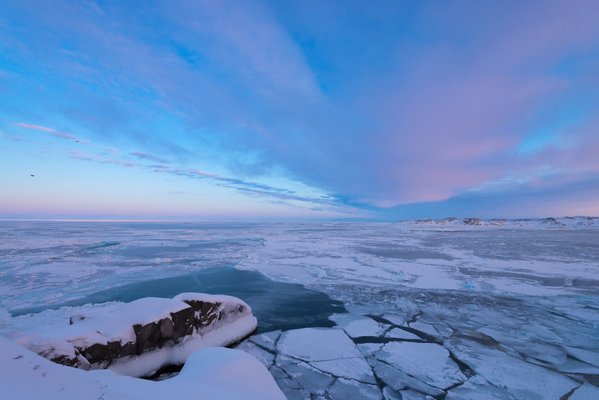 DSC9576 
 www.keithmuirphoto.co.uk 
 Keywords: Arctic, Greenland, Ilulissat, ice, landscapes, travel, winter