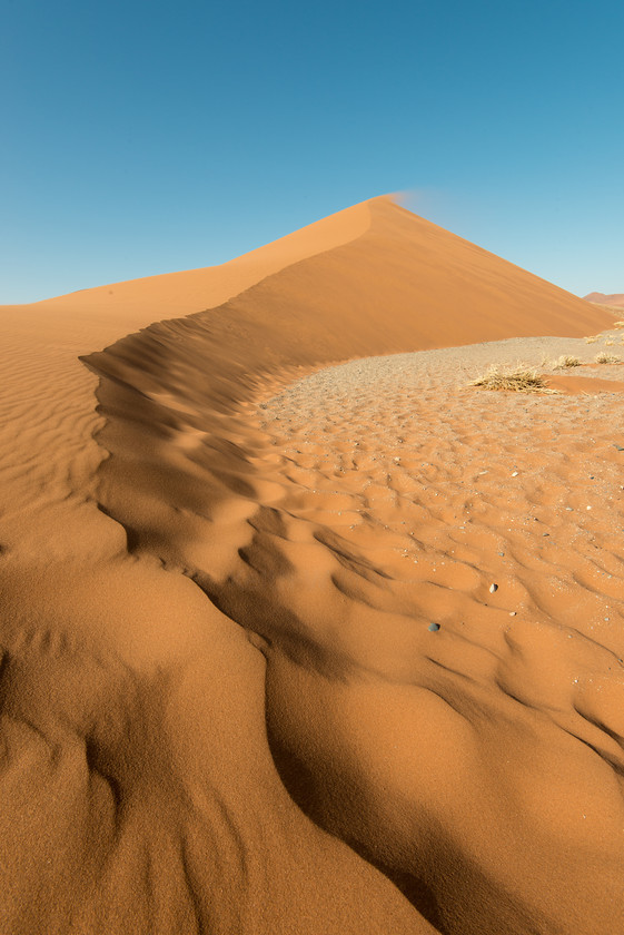 DSC 3389 
 Dune 45, Sossusvlei 
 Keywords: Africa, Dune 45, Namib desert, Namib-Naukluft National Park, Namibia, Sossuvlei, South West Africa, dunes, landscapes, sand, sand dunes, travel