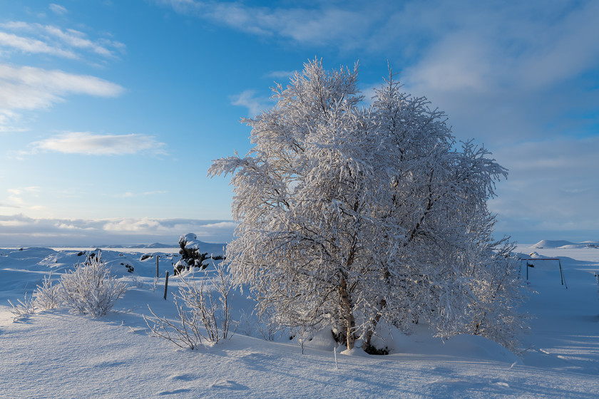 DSC4600 
 www.keithmuirphoto.co.uk 
 Keywords: Dimmuborgir, Iceland, North East Iceland, WPH, cold, landscapes, travel, winter