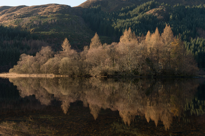 DSC 0417 
 Loch Chon Islet 
 Keywords: Loch Chon, Scotland, Trossachs, landscapes, lochs, reflections, sunrise, winter