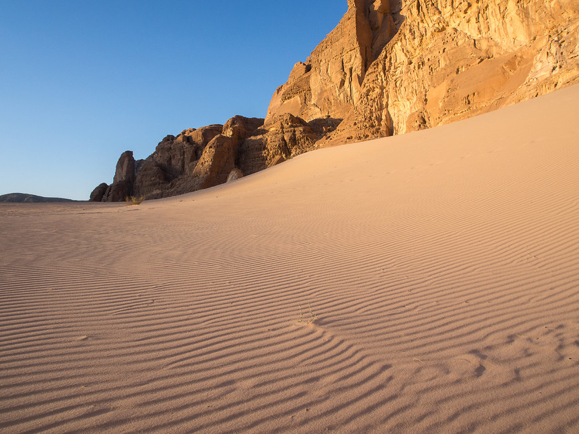 PA220093 
 Sinai Desert Dunes at Sunset 
 Keywords: E-M5, Egypt, Gulf of Aqaba, Middle East, Olympus, Red Sea, Sinai, South Sinai, South Sinai Desert, desert, dunes, landscapes, sand, sunset, travel