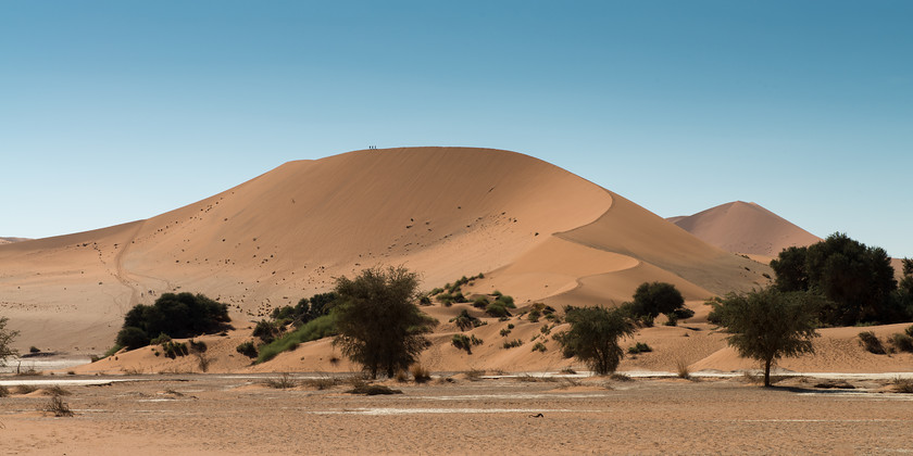 DSC 3484 
 Keywords: Africa, Namib desert, Namib-Naukluft National Park, Namibia, Sossuvlei, South West Africa, dunes, landscapes, sand, sand dunes, travel