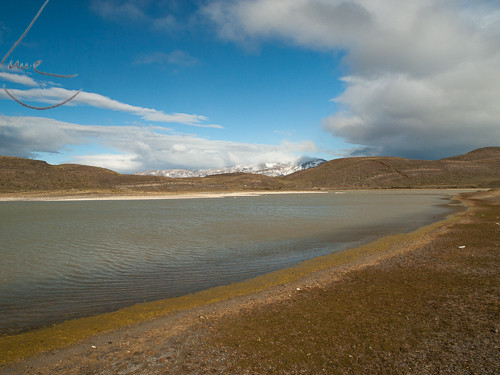 PA135336 
 OLYMPUS DIGITAL CAMERA 
 Keywords: Amarga, Chile, Cruce Ruta 9 - Porteria Sarmiento - Guarderia Lago Grey, Cruce Ruta Y-150 - Laguna Azul, Patagonia, Región de Magallanes y de la Antártica Chilena, Rio Paine, South America, Torres del Paine, Y-150, Y-156, Y-160, clouds, lakes, landscapes, travel