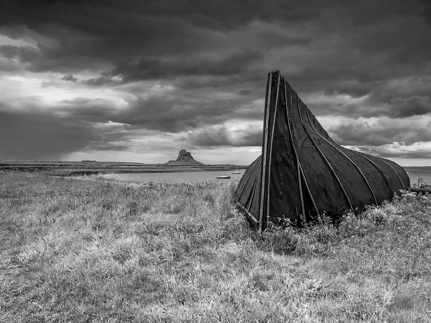 P6140740 
 Keywords: E-M5, England, Holy Isle, Lindisfarne, Northumberland, Olympus, coast, landscapes, seascapes, shore