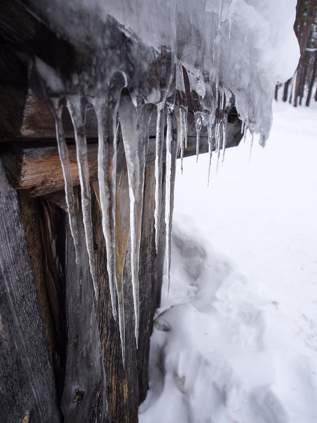 P2140802 
 Icicle Eaves 
 Keywords: Europe, Finland, Lapland, Menesjarvi, Sub-Arctic, landscapes, snow, travel, winter