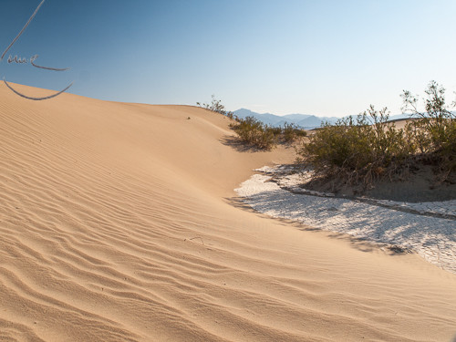 P7086062 
 Keywords: California, Death Valley, E-3, Mesquite Sand Dunes, North America, Olympus, USA, desert, dunes, landscapes, sand dunes, travel